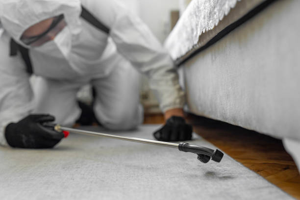 Professional Bed Bug Control technician working in North Ogden, UT