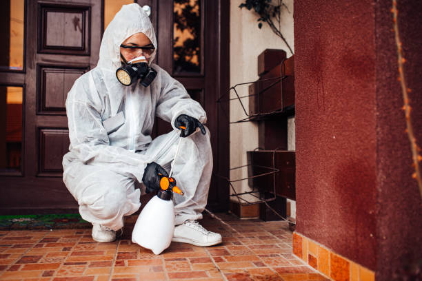 Reliable Bed Bug Control contractor in North Ogden, UT by Nex Pest Control
