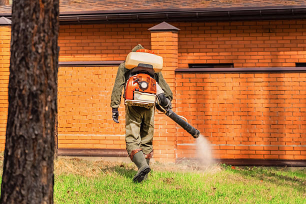 Trusted Cockroach Control service in North Ogden, UT - Nex Pest Control